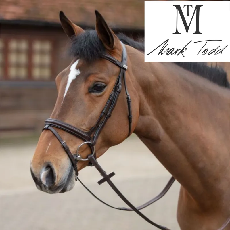 Mark Todd Performance Flash Bridle - Havana